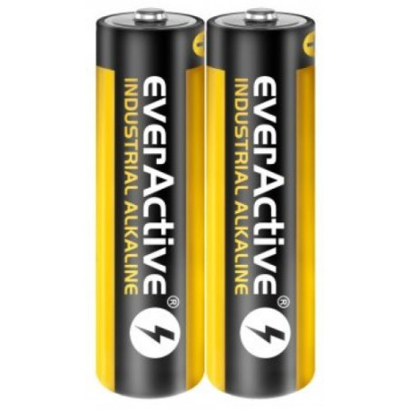 Zestaw baterii AA everActive EVLR6S2IK (x 40)